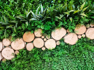 The background is made of wood and surrounded by plants and grass.