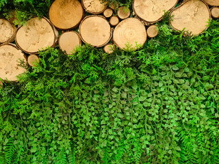 The background is made of wood and surrounded by plants and grass.