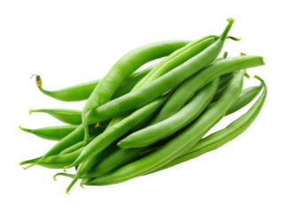 Harvesting fresh green beans farm location food isolated on transparent background