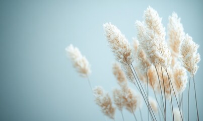 elegant and serene essence of minimalism, featuring delicate dried bunny tail grass in soft hues, set against a clean, neutral background. The visual offers ample copy space for text, Generative AI