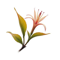 A detailed illustration of a vibrant flower with highlighted leaves, showcasing intricate details and rich colors against a dark background.