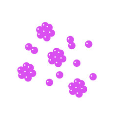 staphylococcus bacteria