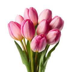 Obraz premium pink tulips png