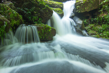 waterfall in the forest at Phuhin Rongla national park of Thailand