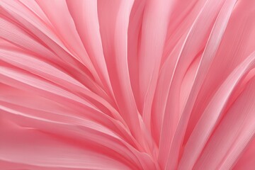 Obraz premium High resolution pink background wallpaper featuring soft flowing fabric textures and gentle waves created by delicate layers