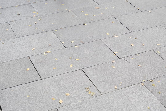 Gray stone pavement with scattered dry yellow leaves on the surface, creating a simple urban outdoor texture.