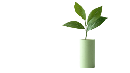 • A plant-based lip balm in recyclable container, isolated on white background in HD 