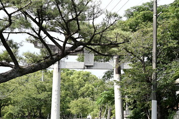 Fototapeta premium 夏の日の落ち着いた雰囲気の神社の風景