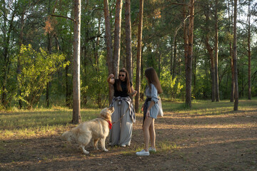 Two girls are walking with retriever dog in the pine forest.