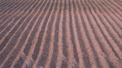 Rows of freshly tilled soil stretch across the landscape, showcasing organized furrows ready for...