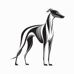 Greyhound Dog Logo Vector Silhouette with Sleek Body on white background