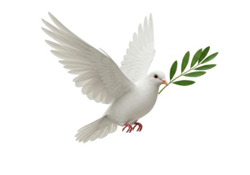 Isolated white dove of peace carrying olive branch for hope, love, and prosperity - Powered by Adobe