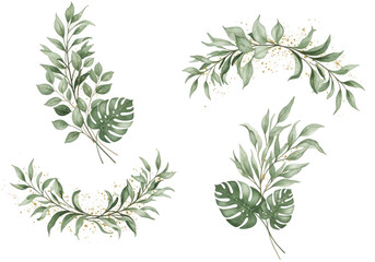 Floral elements isolated on transparent background