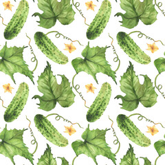 Watercolor growing cucumbers seamless pattern with yellow flowers, tendril, buds and leaves. Hand drawn realistic botanical illustration for farm crop packaging, fabric on Isolated white background