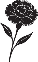 Detailed Carnation Floral Silhouette, Blooming Flowers with Stems and Leaves Isolated on White.