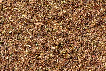 Top down macro view of a textured background of mixed dried herbs, spices, and tea leaves. The...