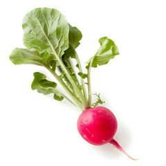 Fresh Radish with Green Leaves Isolated on White Background