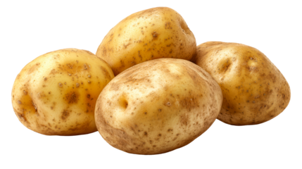 Group of Fresh Russet Potatoes with Textured Skin, cut out transparent