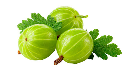 Three fresh green gooseberries with water droplets and leaves on a white background, cut out transparent