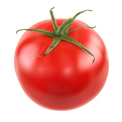 A single ripe red tomato with a green stem against a white background