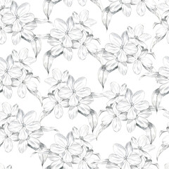 Seamless pattern pencil apple flowers. Illustration on white background. Hand painted floral spring print. For fabric, wrapping, cards, design, poster, gift decor.