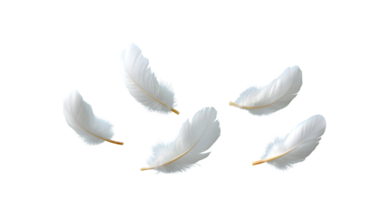 A white feather gently floating in the air

