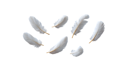 A white feather gently floating in the air

