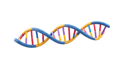 DNA structure illustration featuring a double helix design
