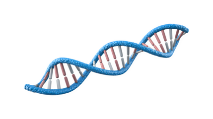 DNA structure illustration featuring a double helix design
