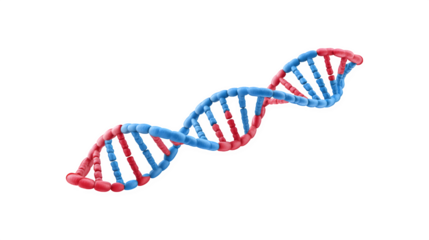 DNA structure illustration featuring a double helix design
