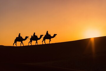 silhouette of camel in desert