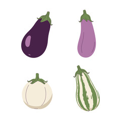 Fresh Eggplant Vegetable