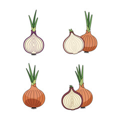 Fresh Organic Onion Vegetable