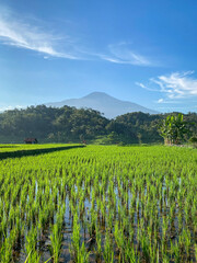 Mount Slamet Landscape, captured on August 27, 2025. Majestic view of Central Java’s highest...