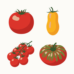 Assorted Tomatoes, Fresh Produce