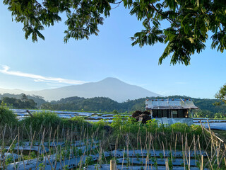 Mount Slamet Landscape, captured on August 27, 2025. Majestic view of Central Java’s highest...