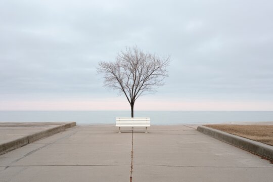Empty bench, lone tree, tranquil beach scene