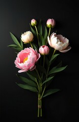 Fototapeta premium Minimalistic bouquet of pink and white peony flowers with green leaves on dark background. Vertical composition, flat lay highlights delicate bloom, bud, and stem, tied with twine.