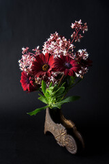 A bunch of pretty red daisies on a black background