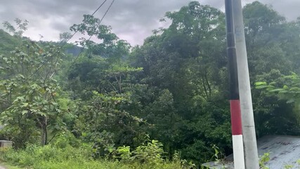 video of mountain landscape with clear blue sky. Panoramic view of lush green trees and valley, ideal for nature vlog, relaxation footage, or documentary use.