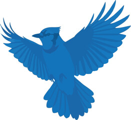 create need a Blue jay victor illustration silhouette with white background.