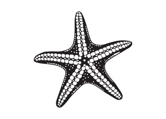Ocean Starfish Silhouette Vector Black Icon Underwater Sea Life.