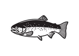 Salmon Fish Outline Drawing Vector Icon Illustration.