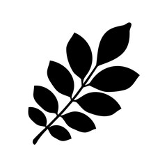 Black silhouette of a branch with leaves on white background drawing