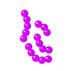 Streptococcus pneumoniae bacterial vector