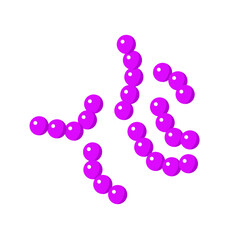 Streptococcus pneumoniae bacterial vector