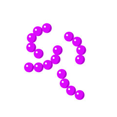 Streptococcus pneumoniae bacterial vector