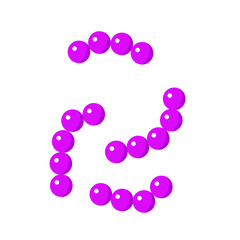 Streptococcus pneumoniae bacterial vector