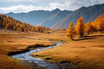 Autumnal alpine valley with a stream