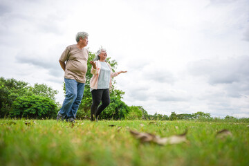 Happy Senior Couple Walking Together in Green Park Outdoors, Elderly Man and Woman Enjoying Nature...